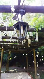 Low angle view of hanging light by tree against building