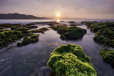 Scenic view of sea against sky during sunset