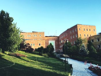 Trees in city against clear blue sky