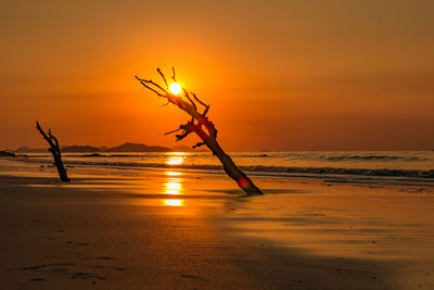 Scenic view of beach against sky during sunset