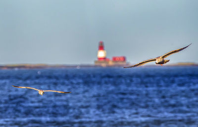 Coming in from the lighthouse