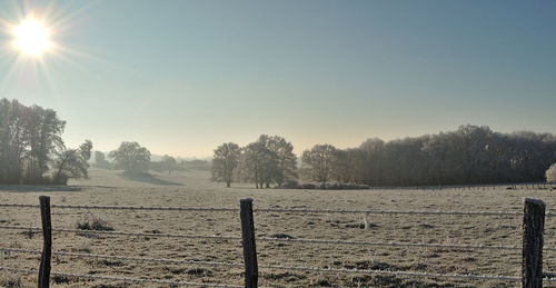 Scenic view of landscape against clear sky during winter