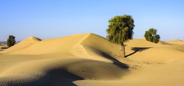 sand dune