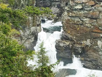 Scenic view of waterfall in forest