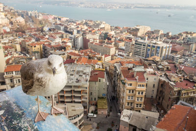 High angle view of townscape by sea