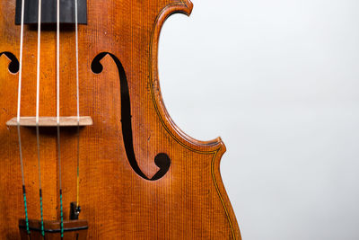 Close-up of viola against white background