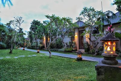 View of trees in park