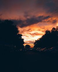 Silhouette trees against dramatic sky during sunset