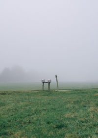 Mailboxes on grassy field during foggy weather