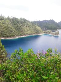 Scenic view of lake in forest against sky