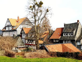 Bare trees and houses on field against clear sky