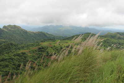 Scenic view of green landscape against sky