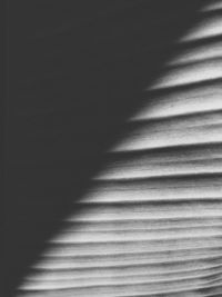 Close-up of shadow on floor