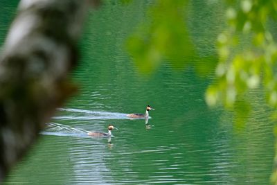 People enjoying in lake