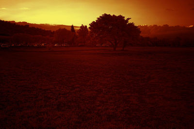 Scenic view of field against sky during sunset