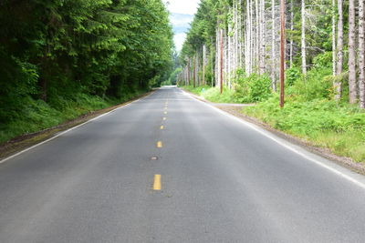 Empty road amidst trees in forest