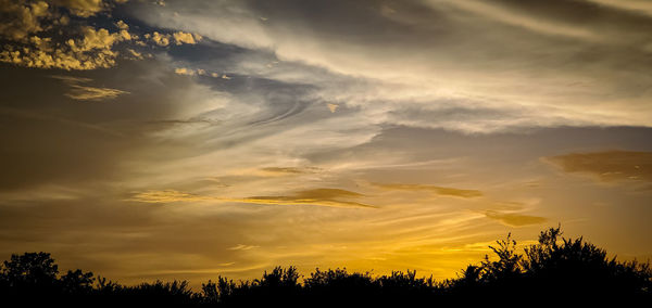 Low angle view of silhouette trees against sky during sunset