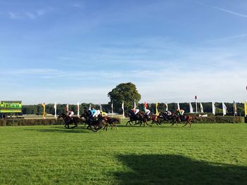 People on grassy field