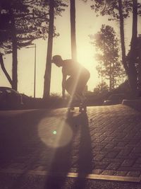Silhouette man skateboarding on tree