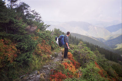 Rear view of woman standing on mountain