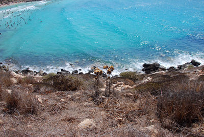 High angle view of beach