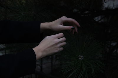 Cropped hands by plants