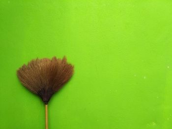 Brown broom on green wall at home