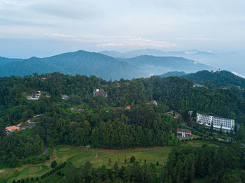 Aerial view of greenery highland in fraser's hill, pahang, malaysia.