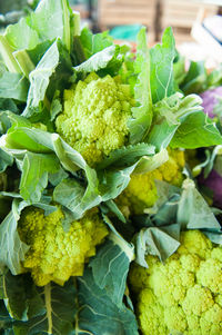 Close-up of vegetables for sale in market