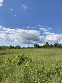 Scenic view of field against sky
