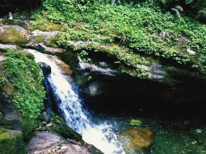 water, flowing water, waterfall, rock - object, stream, flowing, beauty in nature, forest, nature, motion, scenics, long exposure, rock, river, tranquility, green color, rock formation, tranquil scene, moss, tree