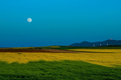 Scenic view of field against clear blue sky