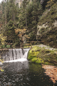 Scenic view of waterfall in forest