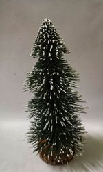 Close-up of succulent plant on field