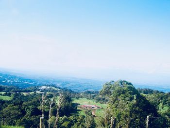 High angle view of trees on landscape against sky