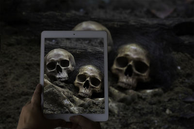 Close-up of human hands photographing spooky human skulls with digital tablet