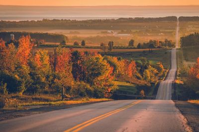 Road by trees during autumn