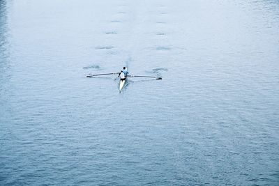 High angle view of men sculling in sea