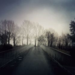 Road passing through bare trees