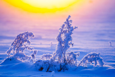 Close-up of snow against sky during sunset