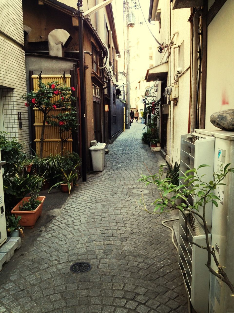 architecture, built structure, building exterior, the way forward, potted plant, house, plant, narrow, residential building, residential structure, alley, cobblestone, walkway, building, footpath, empty, diminishing perspective, day, city, pathway