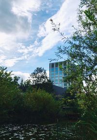 Low angle view of trees and building against sky