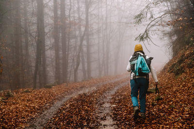 Rear view of man walking in forest