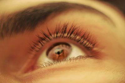 Macro shot of human eye