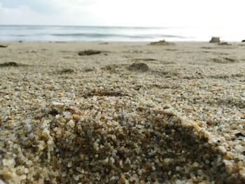 Surface level of beach