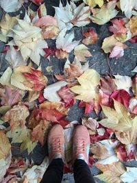 Low section of person standing on fallen autumn leaves