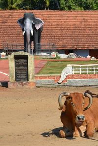 View of statues on wall