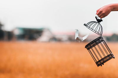 Close-up of hand against sky
