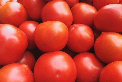 Full frame shot of tomatoes