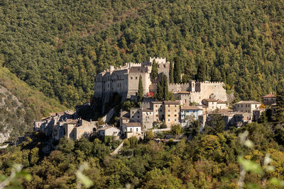 High angle view of trees and buildings